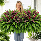 💥Summer Special🔥 UV-Resistant Artificial Fern & Red Dracaena Decorative Plants – Full, Lush & Fade-Resistant!