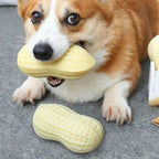 Funny Pet Dog Squeaky Peanut Chew Toy