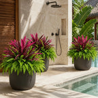 💥Summer Special🔥 UV-Resistant Artificial Fern & Red Dracaena Decorative Plants – Full, Lush & Fade-Resistant!